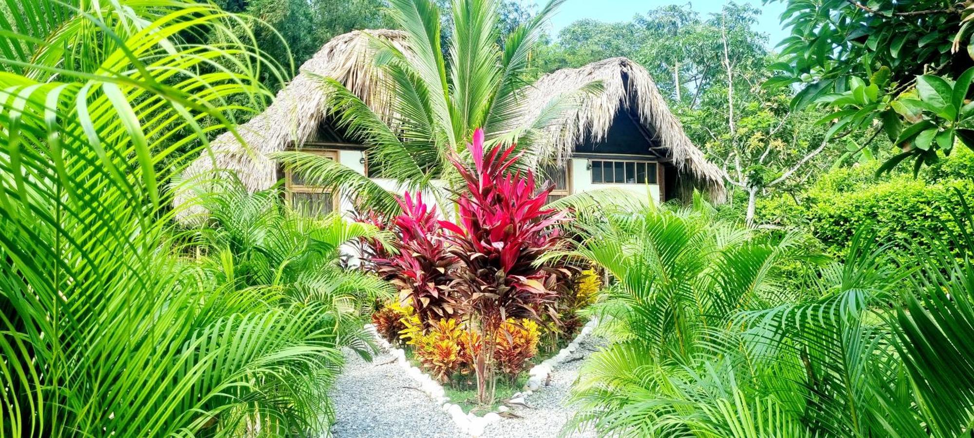 Encanto Hostel Guachaca Exteriör bild