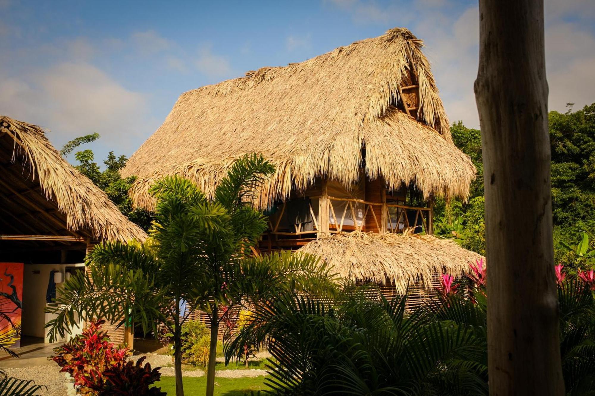 Encanto Hostel Guachaca Exteriör bild